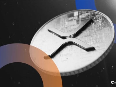 Ripple Dukung Evernorth Untuk Kumpulkan 1 Miliar Dolar di XRP