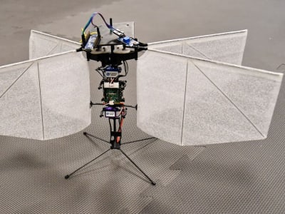 Drone Berkedip Meniru Terbang Ngengat untuk Pengawasan Rahasia Efisien