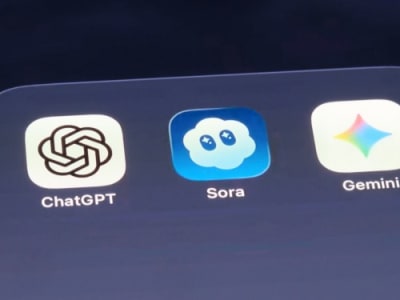 OpenAI Perbarui Sora dengan Fitur Cameo Hewan dan Editing Video Baru