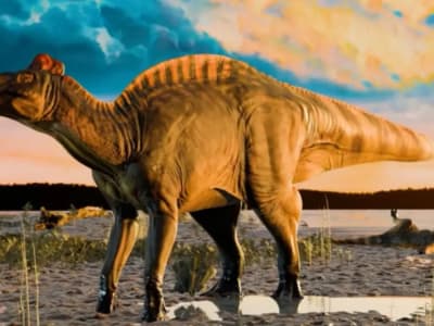 Penemuan Mumi Dinosaurus Bebek Berparuh dengan Kulit dan Kuku Utuh
