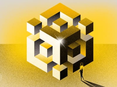 Harga BNB Naik Karena Pengampunan CEO Binance dan Pergerakan Besar Token