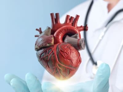 FDA Setujui Sistem Pencitraan Intracardiac Compact untuk Prosedur Jantung Canggih
