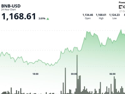 Harga BNB Naik 3% Setelah Pembakaran Token Terbesar Senilai 1,69 Miliar USD