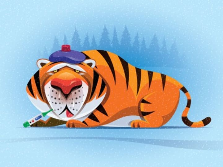 Sebuah pengungkapan baru menunjukkan, sekali lagi, seberapa buruk kinerja dana 'spray and pray' Tiger.