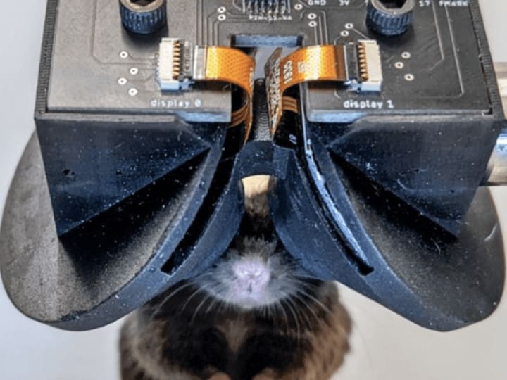 Headset VR miniatur untuk membenamkan tikus dalam lingkungan virtual untuk mengungkap aktivitas saraf.