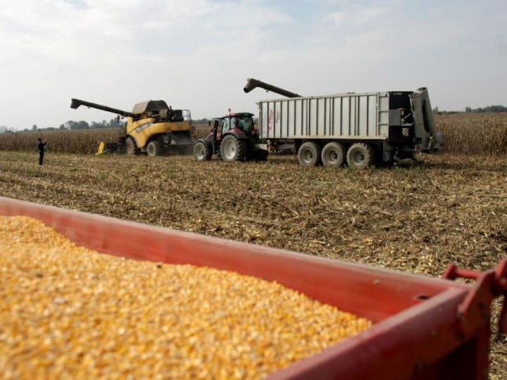 AS memenangkan sengketa dengan Meksiko mengenai jagung yang direkayasa secara genetik.