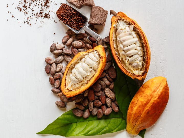 Cokelat Memiliki Masalah Keberlanjutan. Ilmu Pengetahuan Menganggap Telah Menemukan Jawabannya.