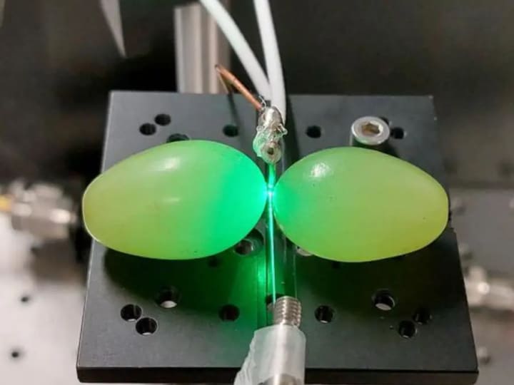 Anggur meningkatkan kekuatan magnet sensor kuantum ganda dalam sebuah eksperimen yang revolusioner.