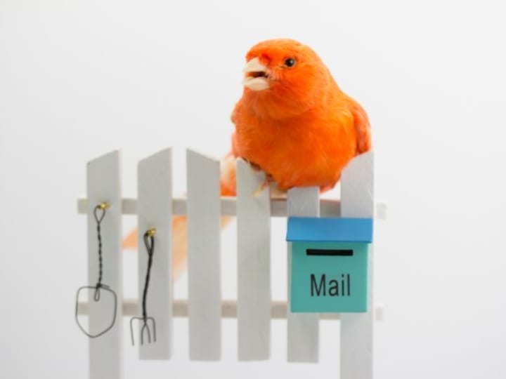 Postman meluncurkan pembuat agen AI di atas platform API-nya.