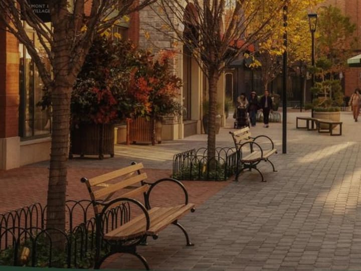 Era Baru New York untuk Bicester Collective: Belmont Park