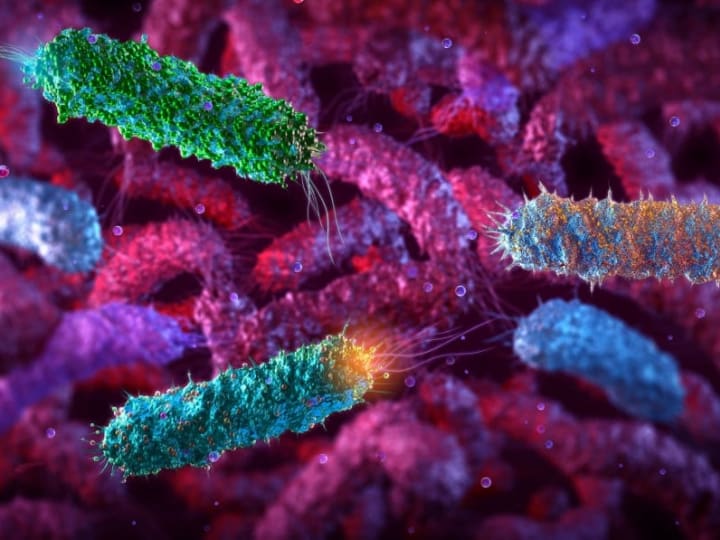 Ilmuwan Tiongkok mengubah E. coli menjadi bentuk kehidupan fotosintetik.