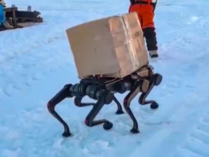 Misi Antartika China mendapatkan bantuan dari anjing robot.