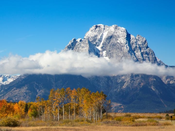 Masa Depan Wyoming sebagai Pemimpin Blockchain Bergantung pada Proses Pengadaan yang Adil
