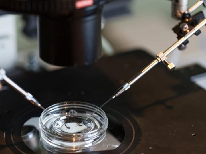 Para ilmuwan menggunakan gula untuk membantu sperma bertahan lebih lama, meningkatkan tingkat keberhasilan IVF.