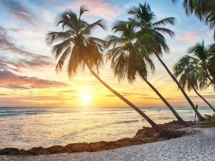 Mantan Eksekutif Bittrex Mengumpulkan Rp 657.80 miliar ($40Juta)  dalam Bitcoin untuk Mendukung Perusahaan Asuransi Berlisensi Barbados
