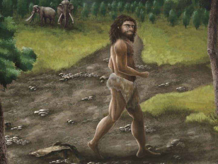 Penemuan Fosil Rahang Denisova di Taiwan Mengubah Sejarah Evolusi Manusia