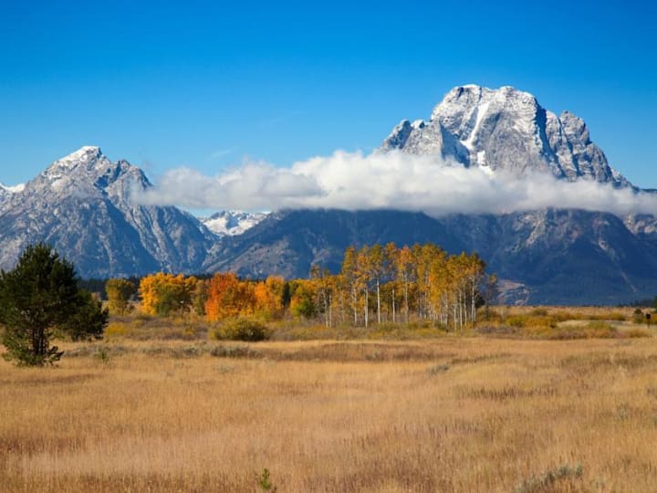 Wyoming Siapkan Stablecoin Aman dengan Dukungan Analitik Canggih dari Inca Digital
