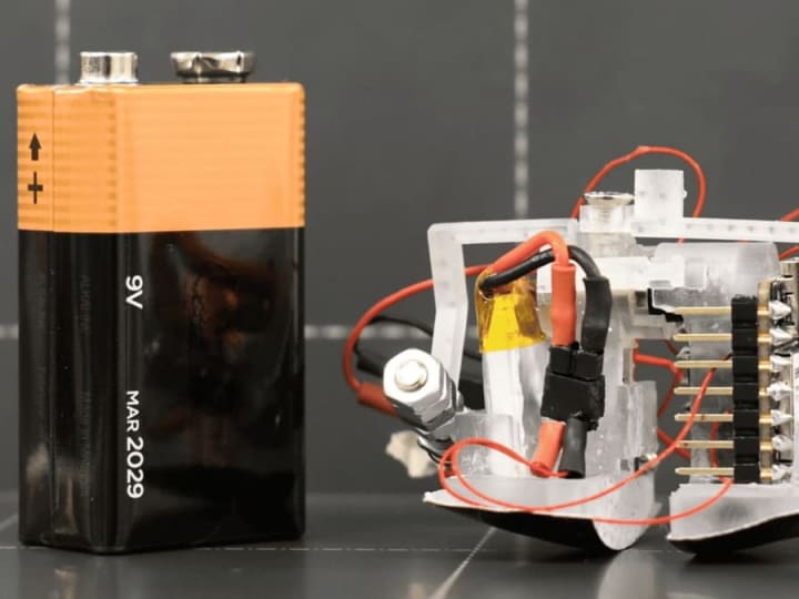 Zippy: Robot Kaki Dua Mini Cepat untuk Menjelajah Tempat Sulit Dijangkau