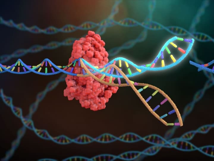 Terapi CRISPR Personal Pertama untuk Penyakit Gen Langka Berhasil Selamatkan Bayi