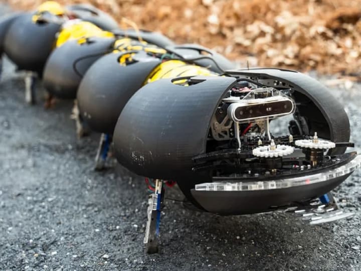 Robot Kelabang Inovatif untuk Pengendalian Gulma dan Pemantauan Pertanian