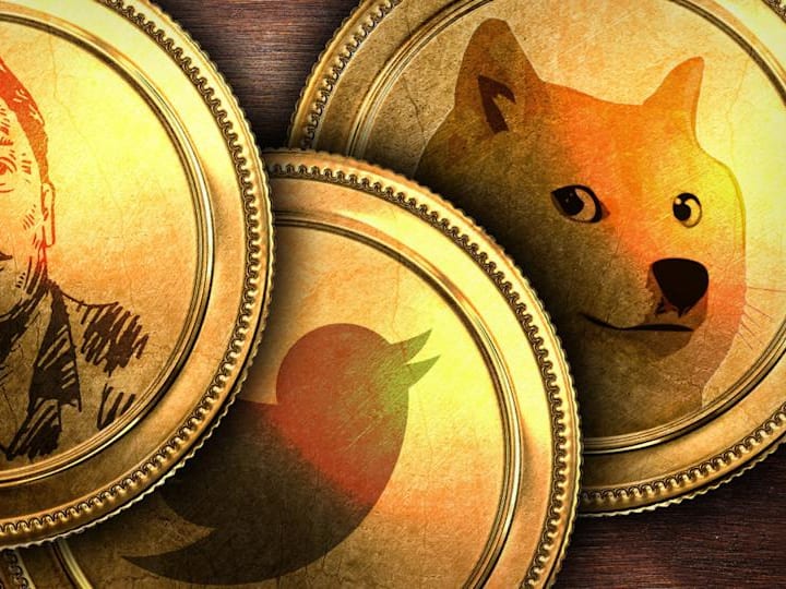 Lonjakan DOGE Meme Coin dan Tantangan Departemen Efisiensi Pemerintahan Elon Musk