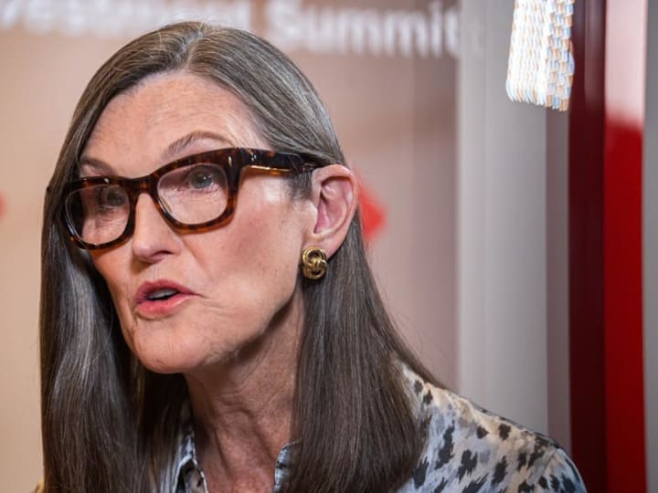 Cathie Wood Yakin Bitcoin dan Elon Musk Akan Jadi Pemenang Besar di Masa Depan