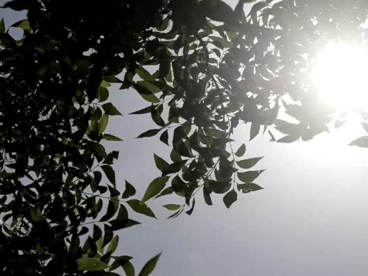 Kadar CO2 Atmosfer Terus Meningkat Tajam, Ancaman Perubahan Iklim dan Cuaca Panas