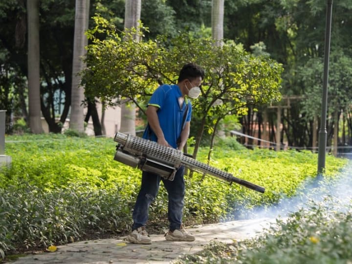 Waspada! Kasus Impor Demam Chikungunya Pertama di Hong Kong Sejak 2019