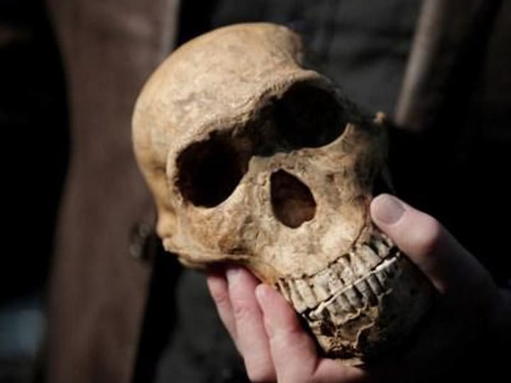 Fosil Anak di Israel Ungkap Perkawinan Dini Homo sapiens dan Neanderthal