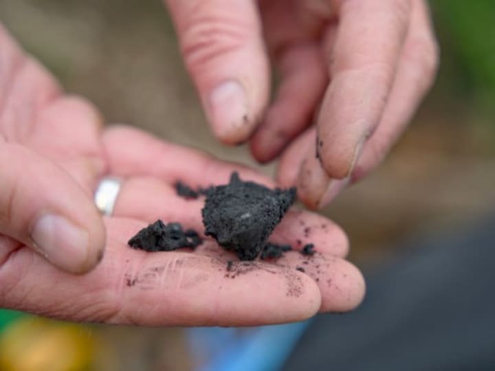 Terraton Percepat Pengembangan Biochar dengan Model Waralaba Business-in-a-Box