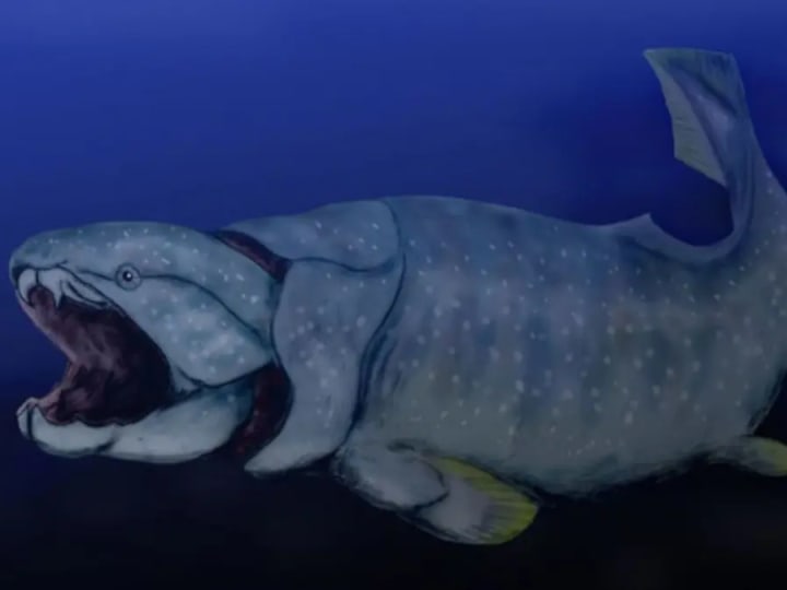 Peningkatan Oksigen Laut Dalam Pemicu Evolusi Vertebrata Awal di Devon Tengah