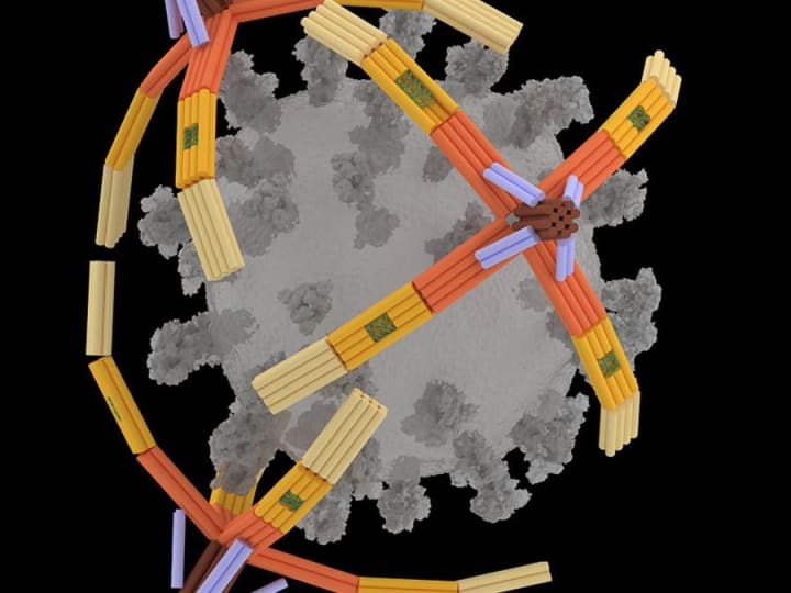 Tangan robot DNA kecil dengan 4 jari menangkap virus COVID, melindungi sel dari infeksi.