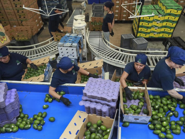 Alpukat, tequila, dan produk ikonik Meksiko lainnya terancam oleh ancaman tarif Trump.