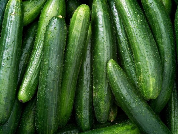 Wabah Salmonella Terkait Dengan Mentimun Menginfeksi 68 Orang
