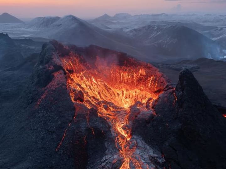 3 Hewan yang Membuktikan Bahwa Bahkan Gunung Berapi Paling Mematikan di Alam Bisa Menyuburkan Kehidupan