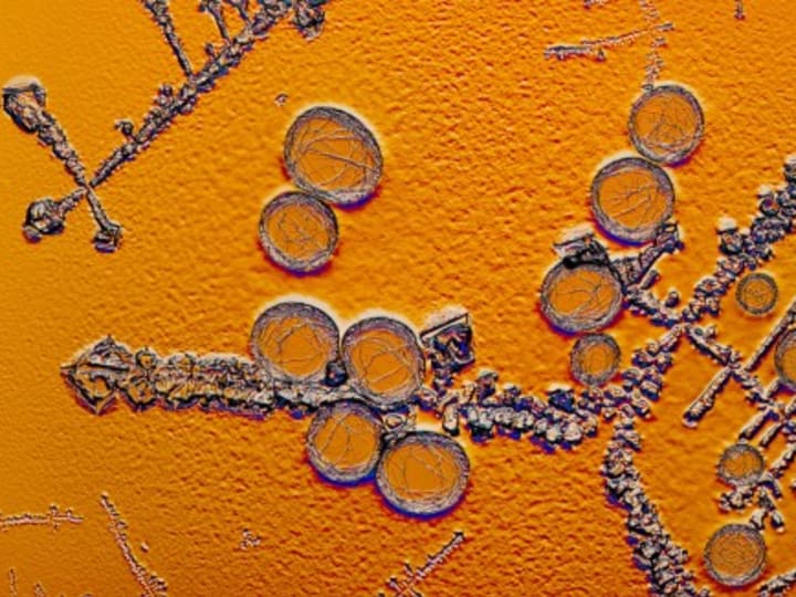 Insulin 'pintar' mencegah kadar gula darah tinggi pada diabetes — dan rendah yang mematikan
