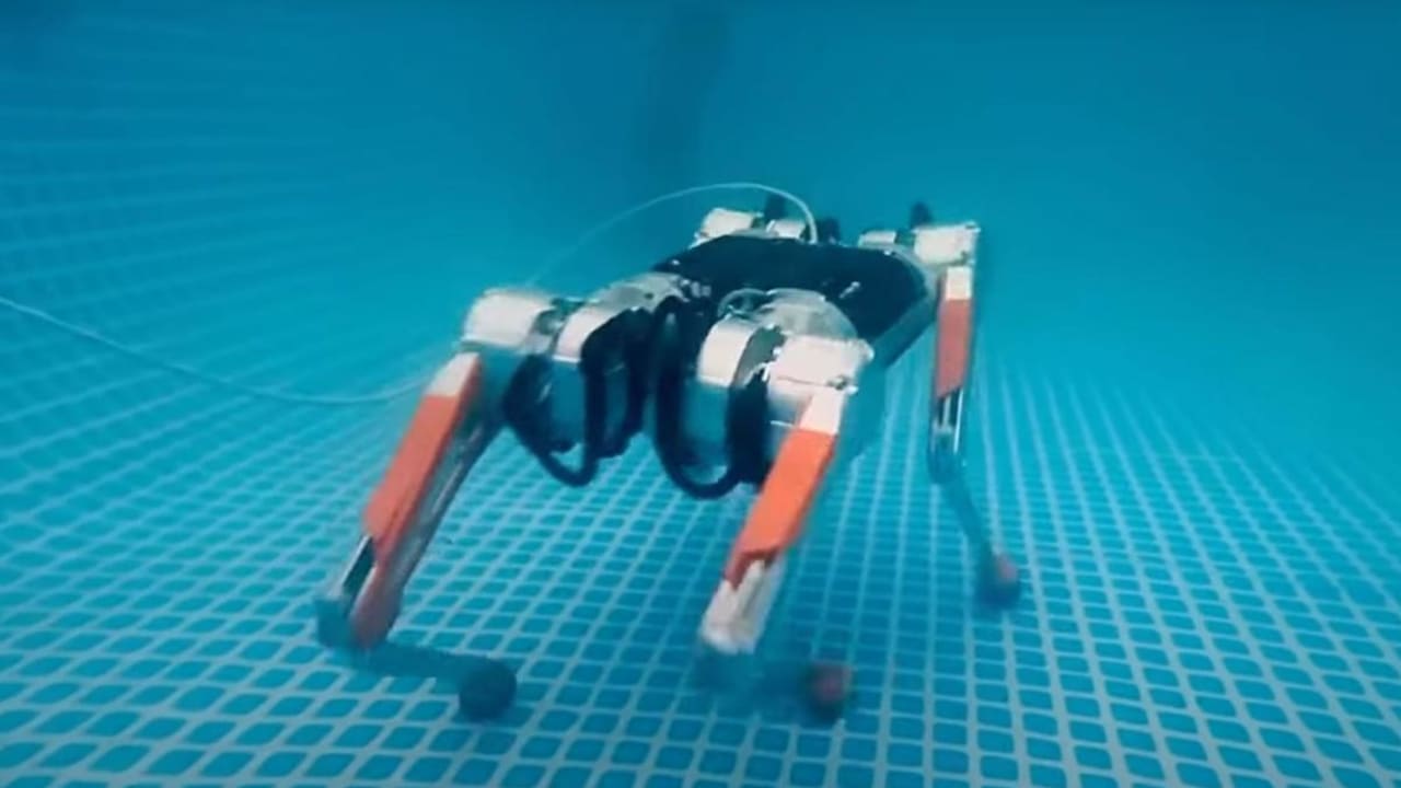 Tonton: Anjing robot tangguh berjalan di bawah air seperti juara, dapat membantu dalam operasi penyelamatan.