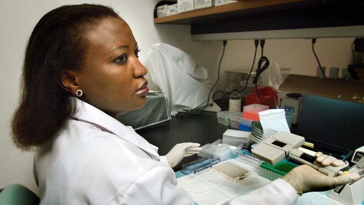 Pembaruan CDC Afrika: Diagnosis Penyakit X di DRC Mengarah ke Malaria