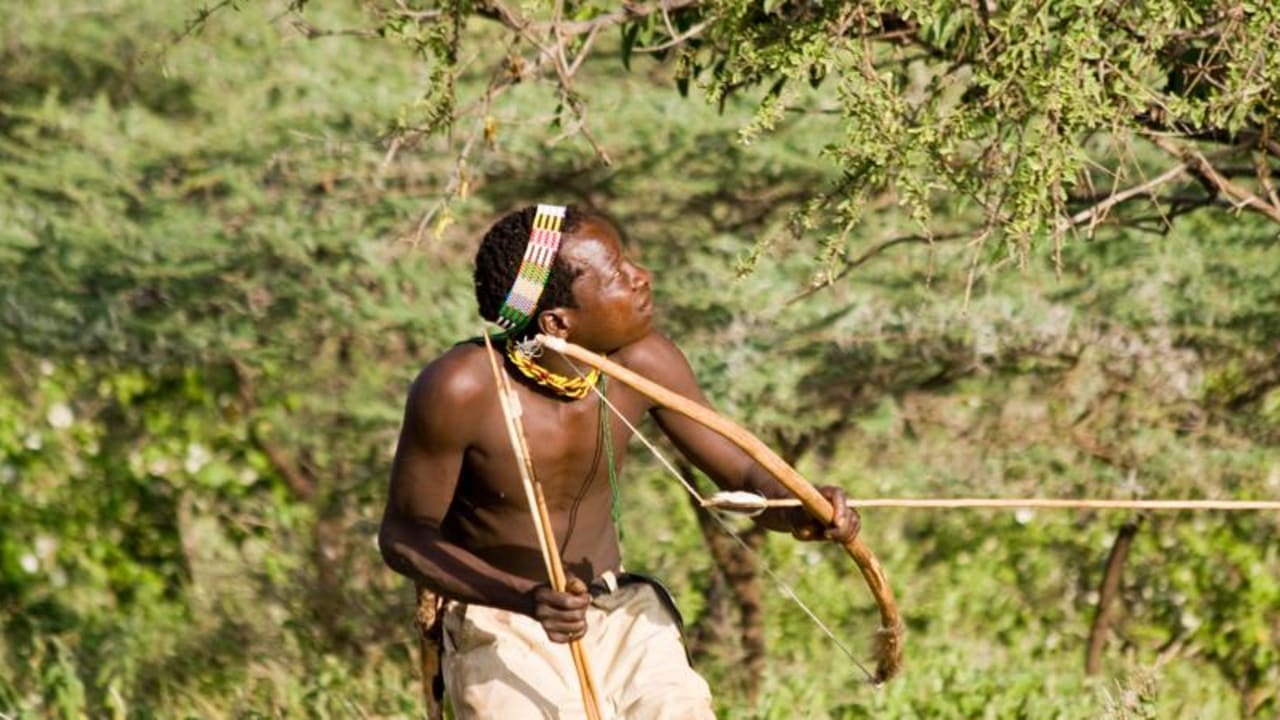 Pada tahun 1822, Sebuah Anak Panah yang Ditembak di Afrika Mendarat di Jerman Utara—Seorang Ahli Biologi Menceritakan Kisahnya