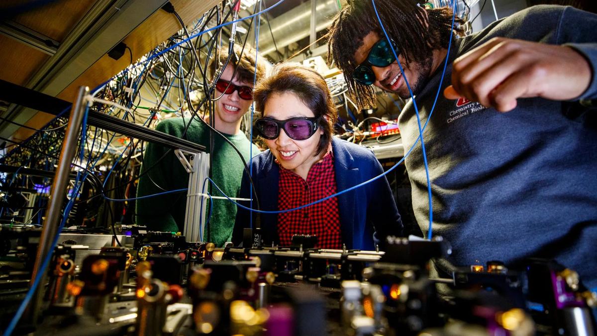 Harvard Berhasil Menjebak Molekul untuk Komputer Kuantum Lebih Cepat dan Akurat