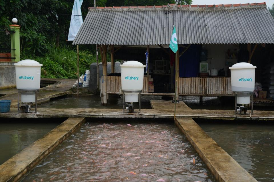 Skandal EFishery: Startup Indonesia Diduga Besar-Besarkan Pendapatan hingga Ratusan Juta Dollar