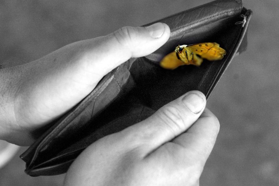 Kenapa Biaya Endoskopi Bisa Mahal dan Siapa yang Bertanggung Jawab