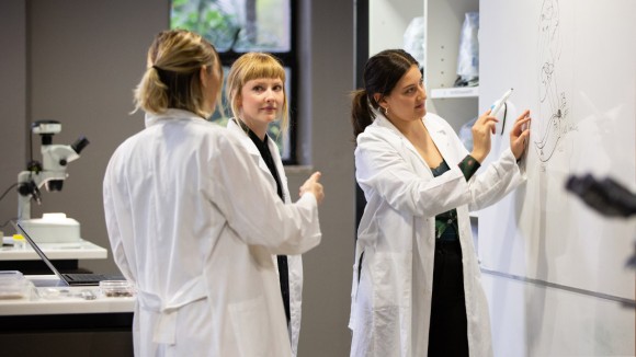 Variasi Global Kriteria Promosi Akademik dan Dampaknya pada Peneliti