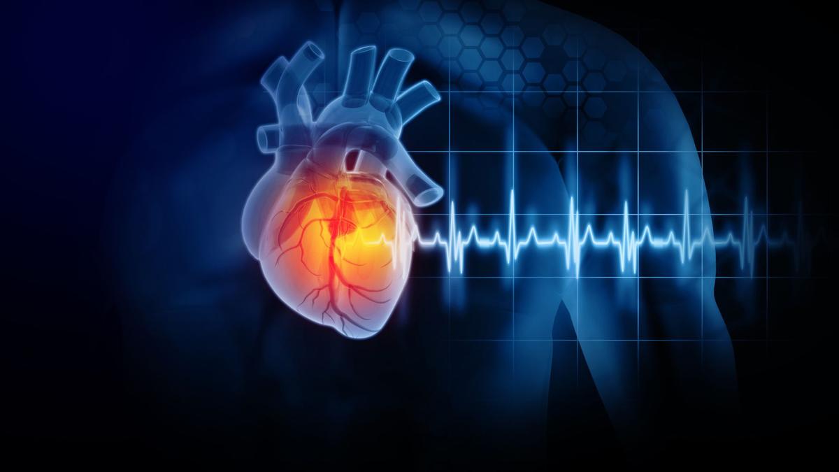 Inovasi AI Ramalkan Risiko Jantung dengan Akurasi Tinggi dari CT Scan
