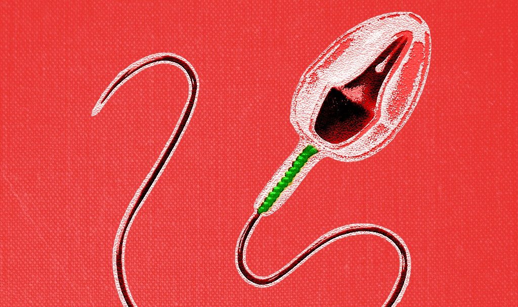 Protein Sensor Listrik Baru Temukan Cara Mengatur Kematangan Sperma