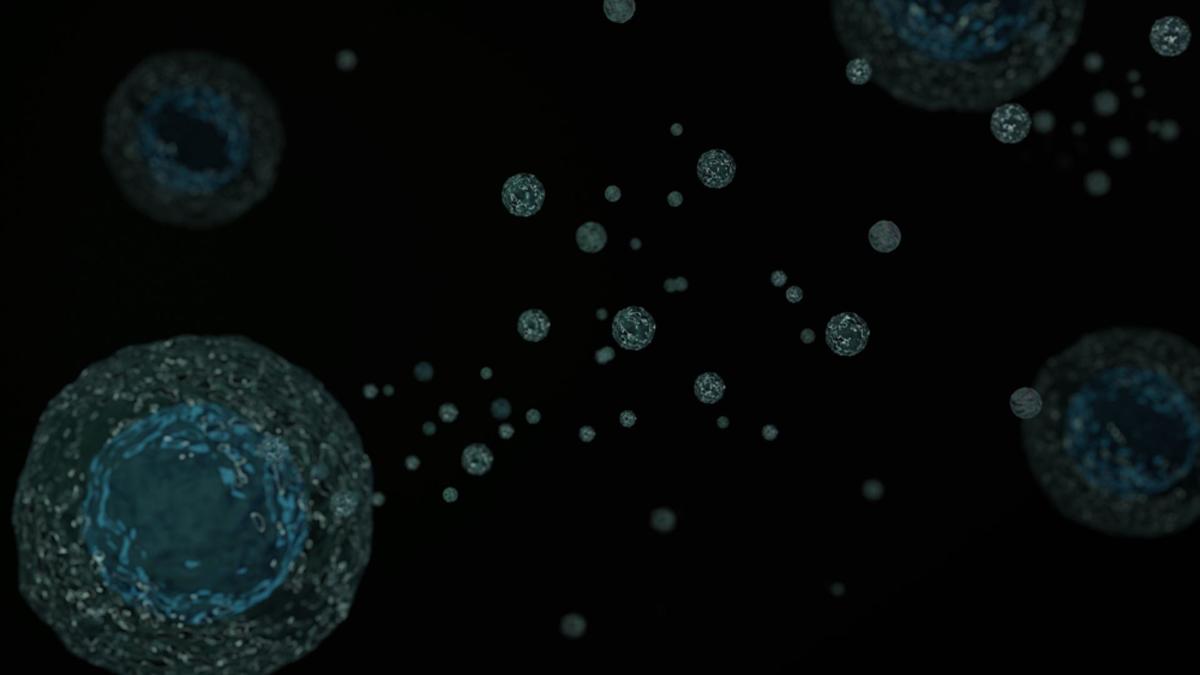 Terobosan Terapi Kanker: Menyerang Sel Tumor dengan Vesikel Kecil dari Sistem Imun