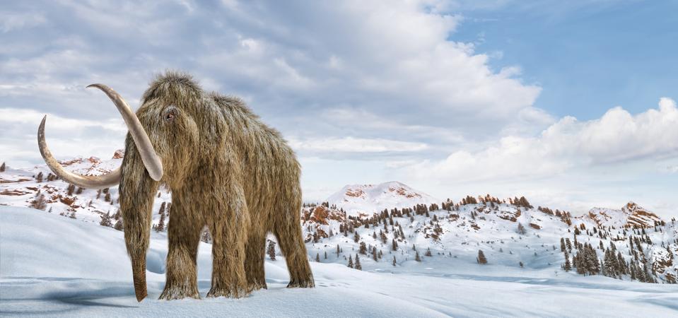 Colossal Biosciences: Menghidupkan Kembali Hewan Punah untuk Lawan Perubahan Iklim