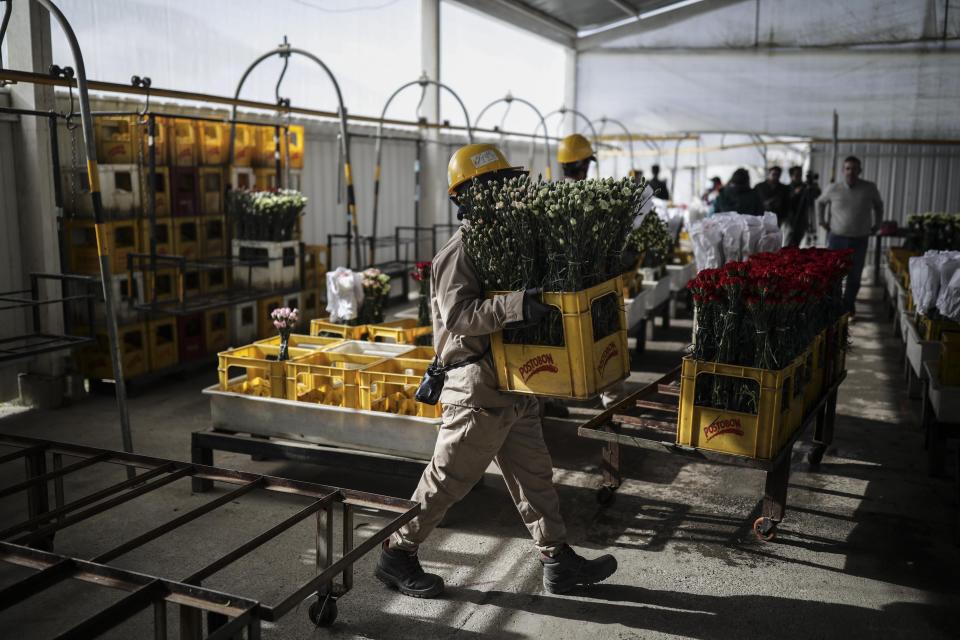 Trump Terapkan Tarif ke Kolombia, Dolar AS Menguat di Tengah Ketegangan Migran