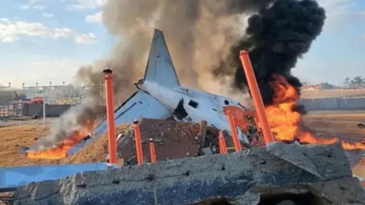 Investigasi Kecelakaan Jeju Air: Peran Burung dan Struktur Bandara dalam Tragedi Terbesar Korea Selatan