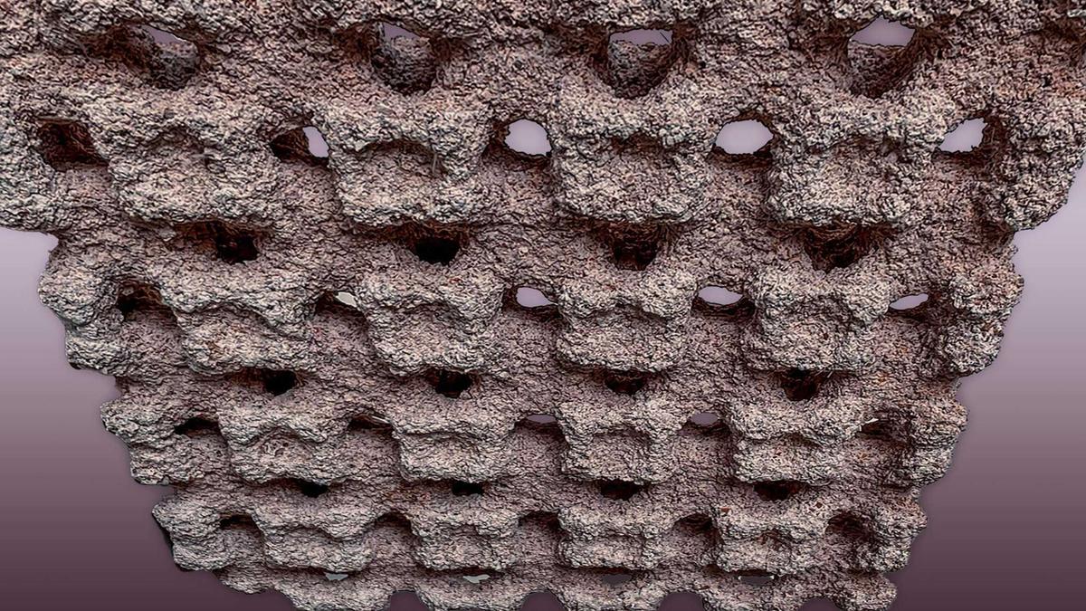 Material 3D-Printed Ramah Lingkungan Reduksi Kelembapan Ruang Padat